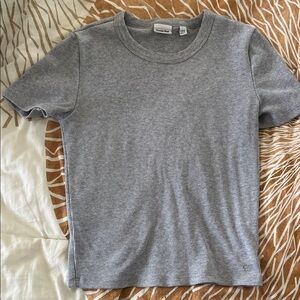Aritzia Gray Ribbed Short Sleeve Tee